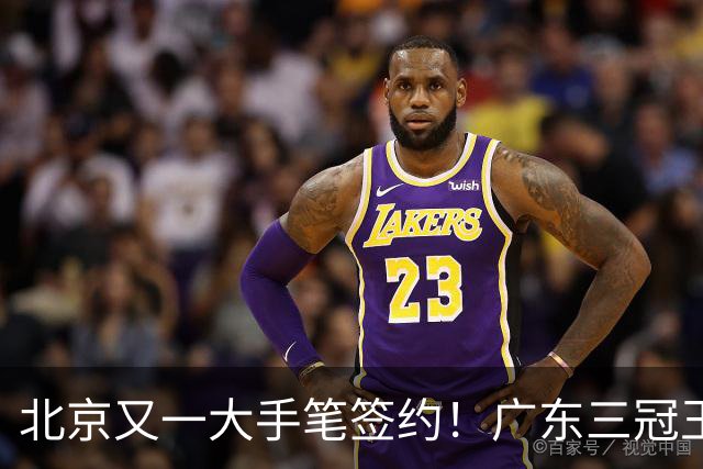 北京又一大手笔签约！广东三冠王功勋加盟：杜锋得力助手联手李楠