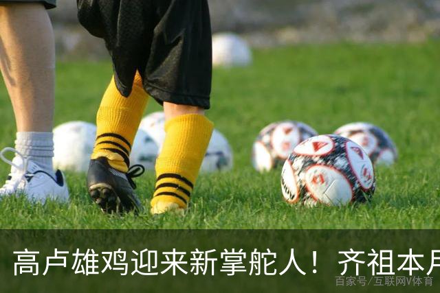 高卢雄鸡迎来新掌舵人！齐祖本月签约，带队征战欧洲杯与世界杯